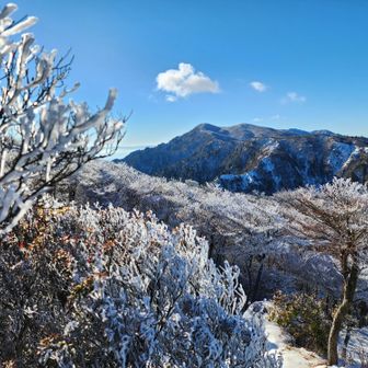 釈迦ヶ岳もかっこいい