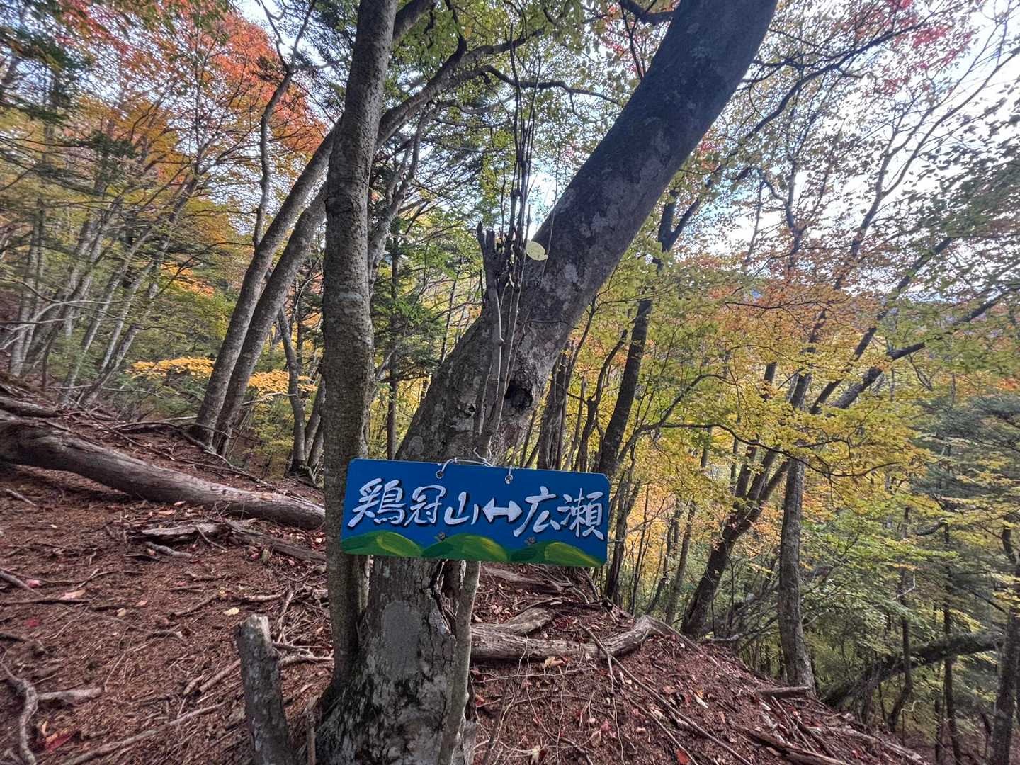 西沢渓谷入口バス停-ゲート-鶏冠山-木賊山 周回コースの写真