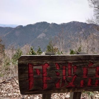 丹波岳。榎坂峠からは誰とも会わない