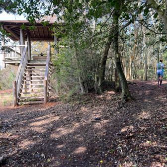 七国見山山頂に到着🙌