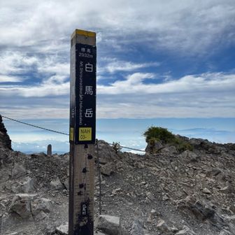 白馬岳に登頂