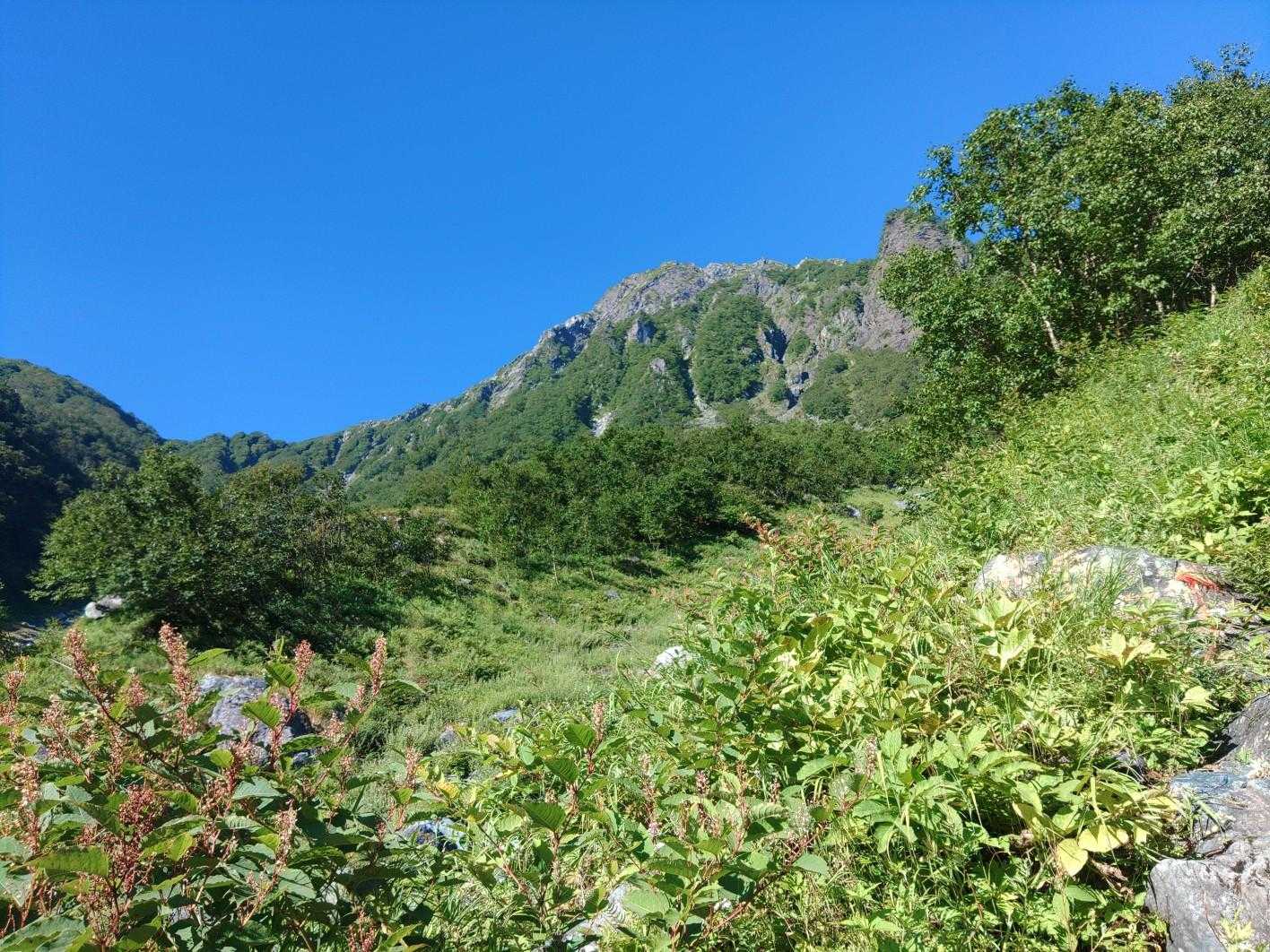 広河原登山口-北岳 往復コースの写真