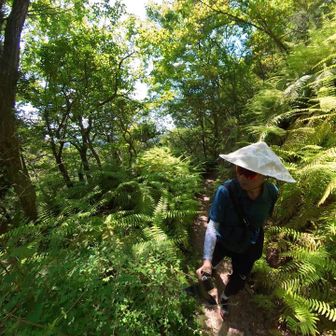 ダイナマイトどっ島