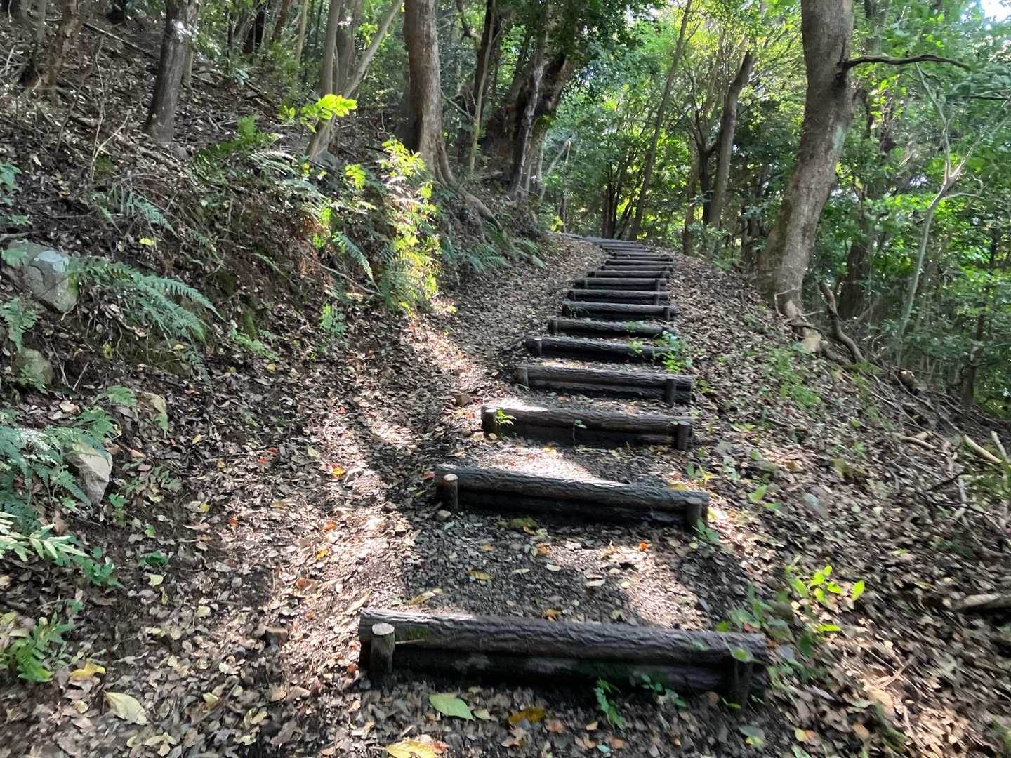涼しくなりましたー、虫が全く来ません✨