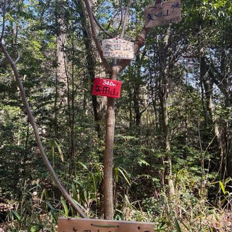 矢田丘陵の矢田山山頂です！