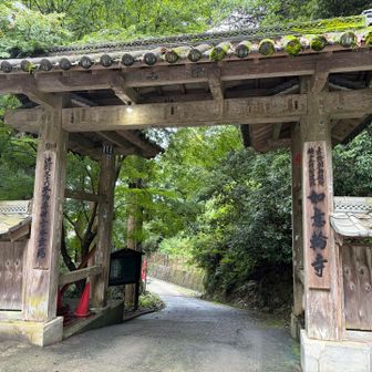 無料駐車場に停めて
歩いて巡ります。
始めは如意輪寺です。
こちらには金剛蔵王権現木像が飾らせていました。木像では日本一と称されているそうです。