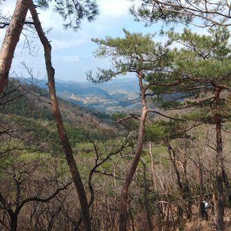 下界を眺めながら歩く準スカイウォーカーよね🚶