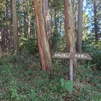 大平山山頂へ