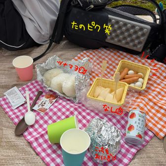 今日の目的はたのしいピクニック🧺
最近流行ってるたのピクのお弁当を見て、手抜きでも良いや〜って思えたので、真似しました。

娘は少食であまり食べられず、夫が「ゆで卵を口に入れたり出したりしてれば良いじゃん(意味不明)」とかいうので、その後の私の頭の中のBGMは

おでんを食べたらおいしいおいしいお姫様🍢
の歌でいっぱいでした。
https://youtu.be/DPmP7Ej4Tns

これを娘に言ったところ、このネタが全員わかる家族なのが嫌だと言われました🥺