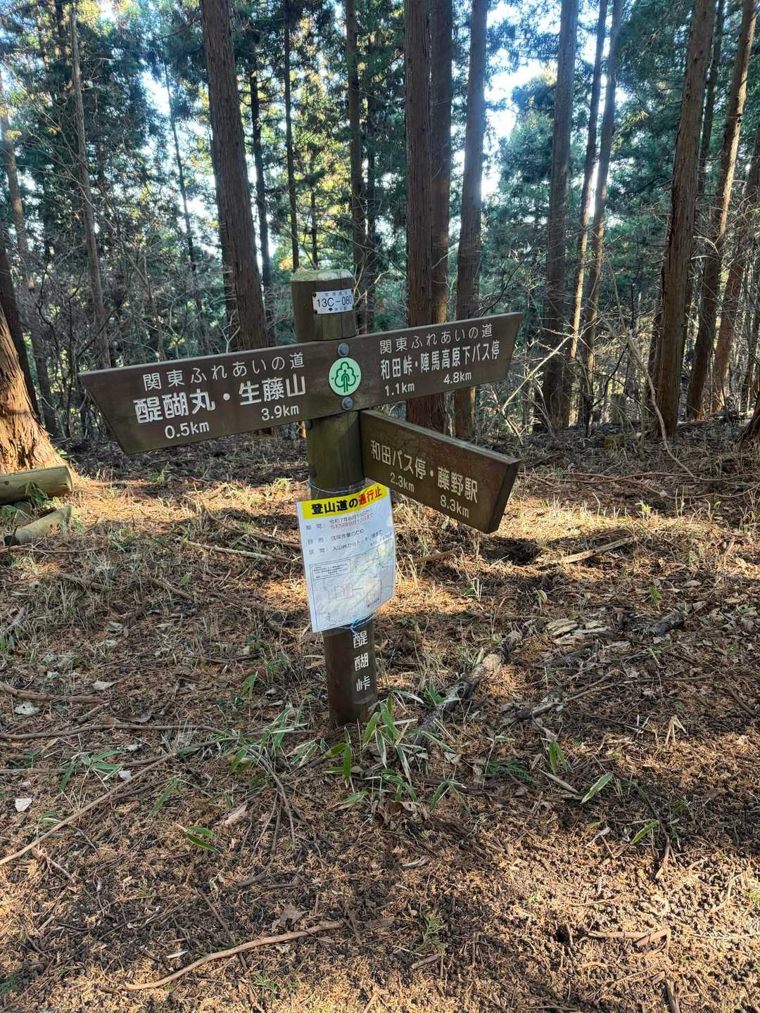 醍醐峠に降りて…