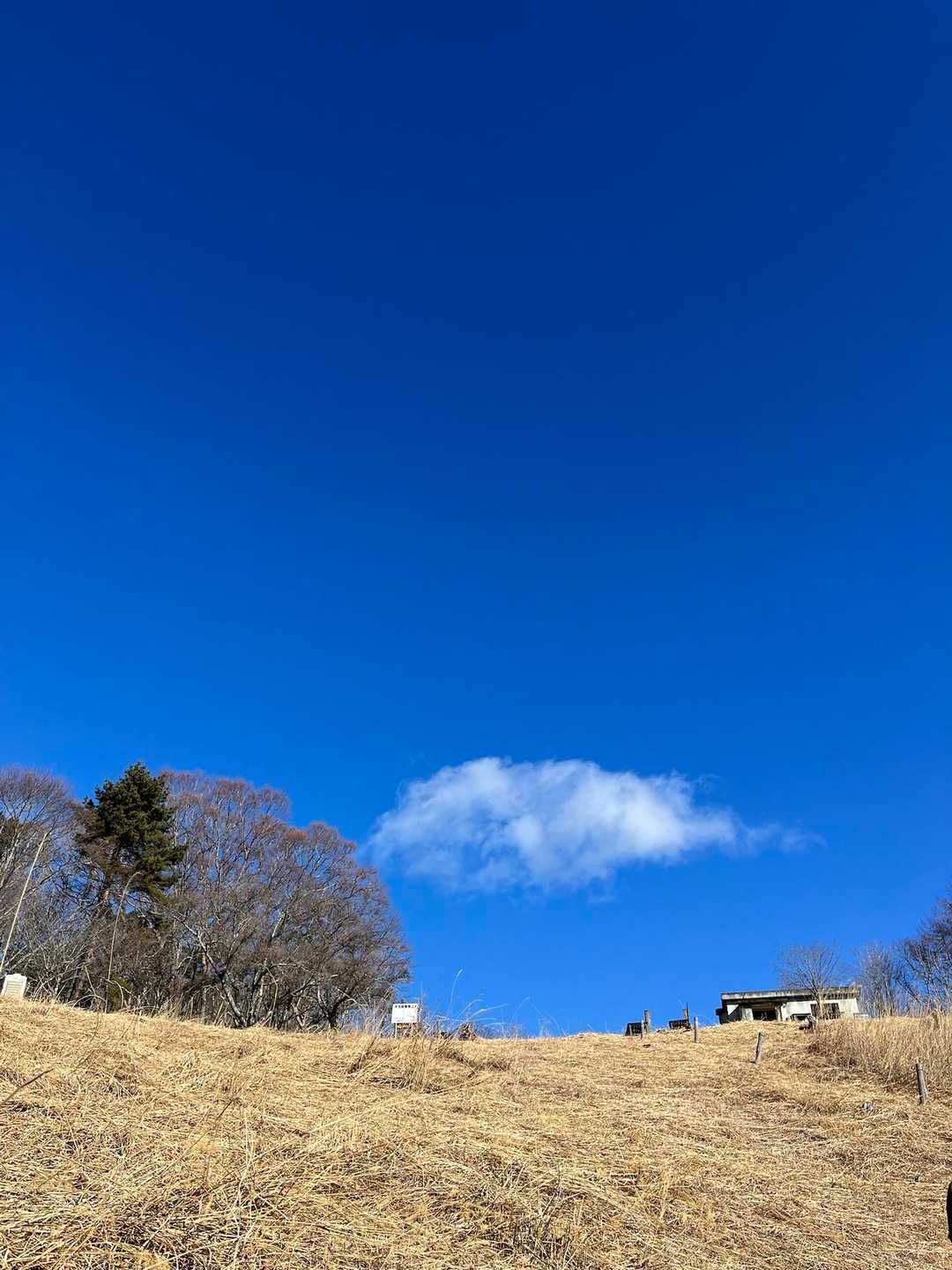 でたー✨山頂🏔️