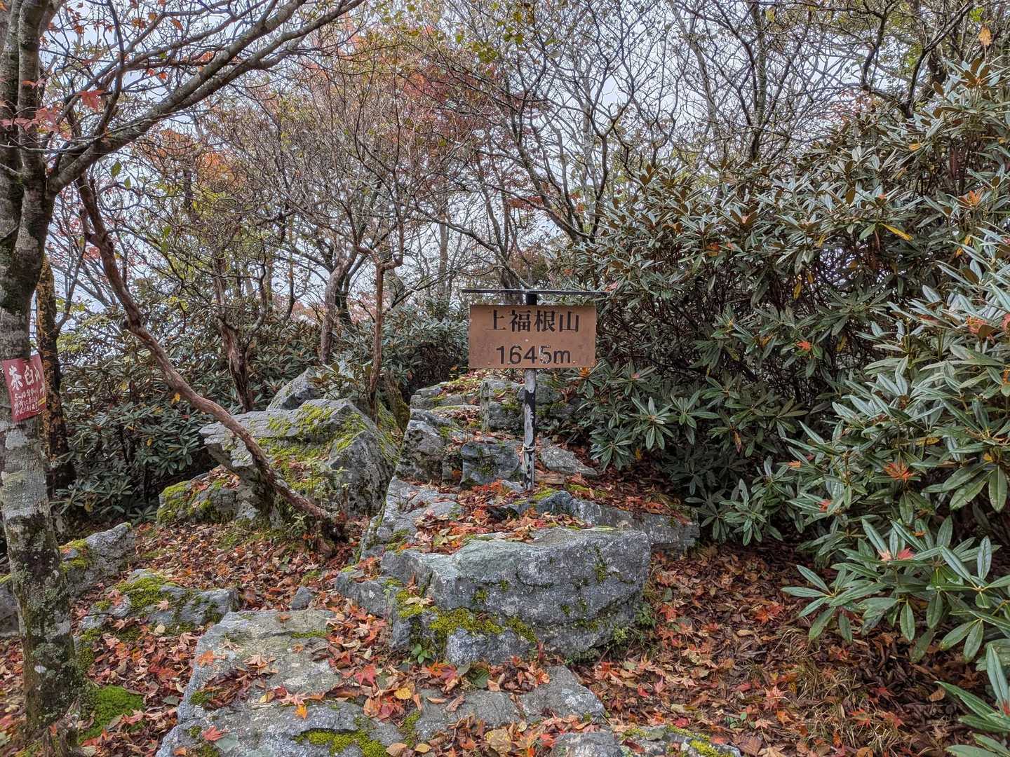上福根山
あっという間にガスに巻かれた