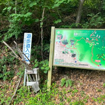 「御殿山登山口」に無事下山。！