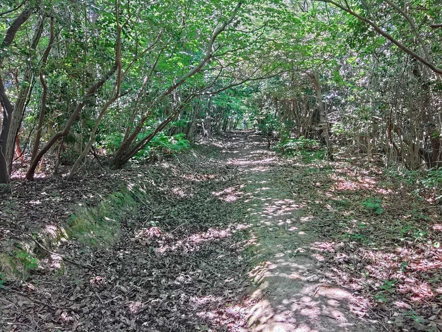 気持ちええ💚