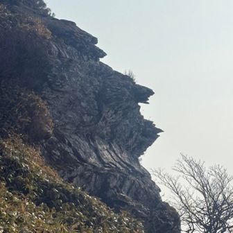 つけまつ毛して
右向いてる
顎がでて口あけてる
ライオンにみえませんか？🦁