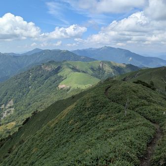 丸石、、行きませんけど。