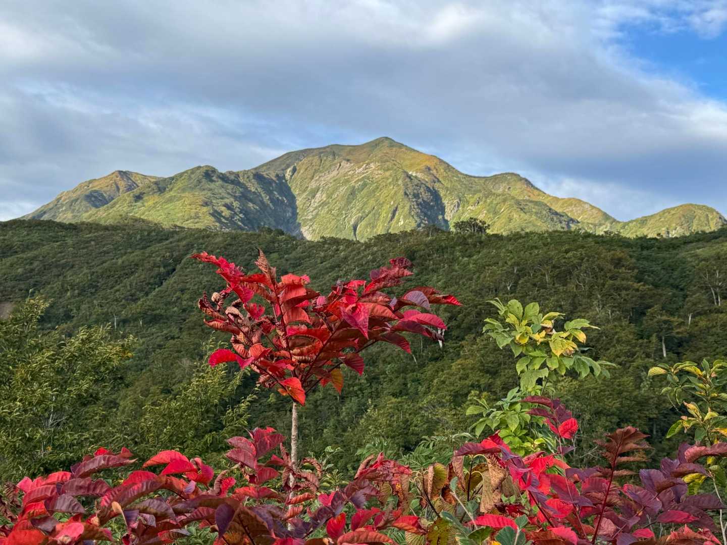 越後駒ヶ岳の雄姿✨