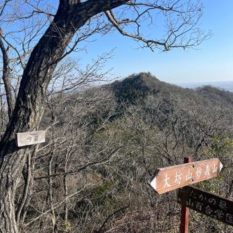 中岳

遂にラスボス、愛しの妙義山が眼前に

この手前でカワイイいぬぬを連れた方々としばし談笑🐕