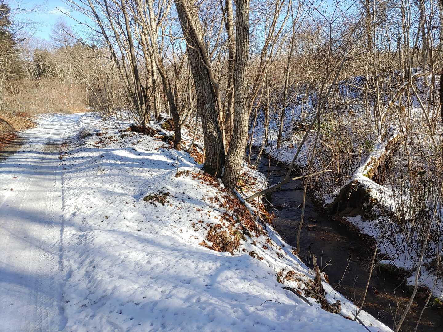 いつもの沢も雪つくとね。印象が変わりますよね(*´ー` *)ヨキ。今年はまだ樽前林道側は伐採作業ないようで、除雪入ってませんでしたねぇ。