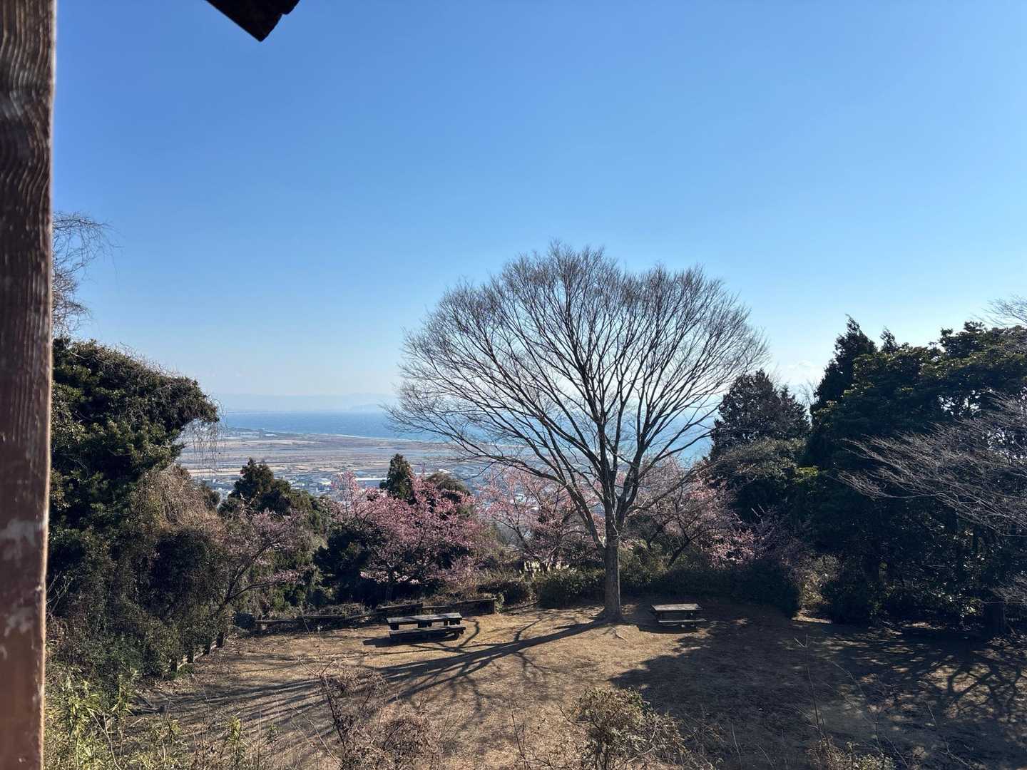 からの景色