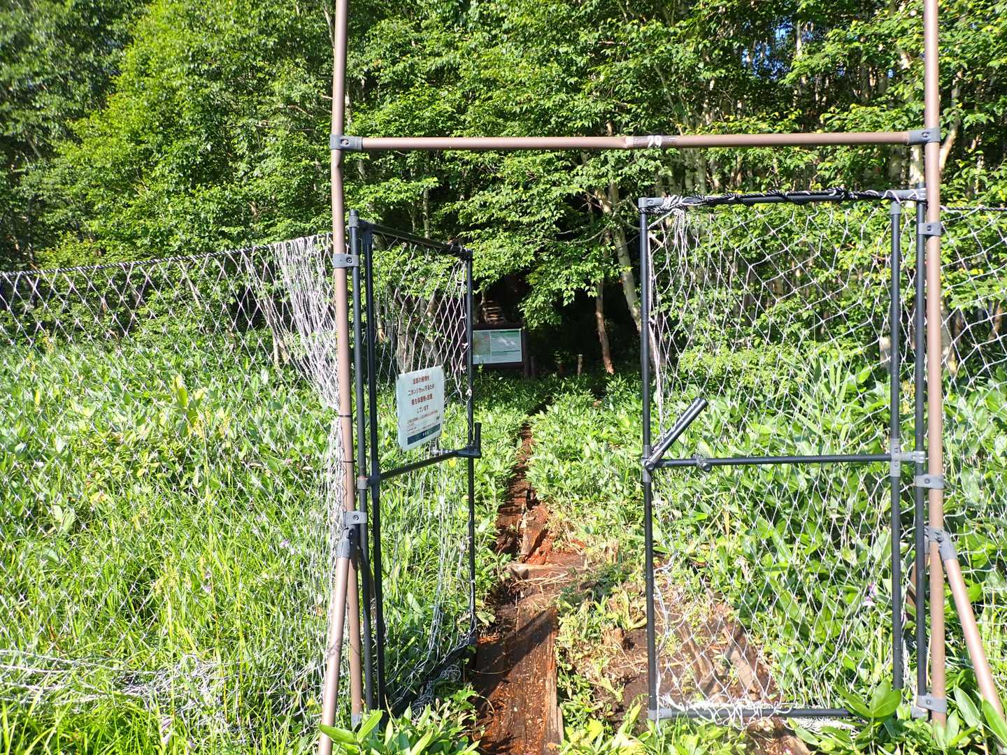 ここから登山道スタート