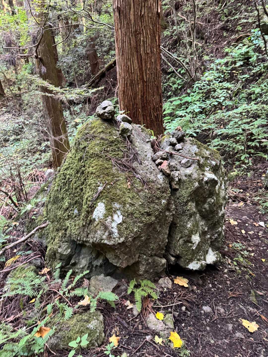 変わった形の岩。