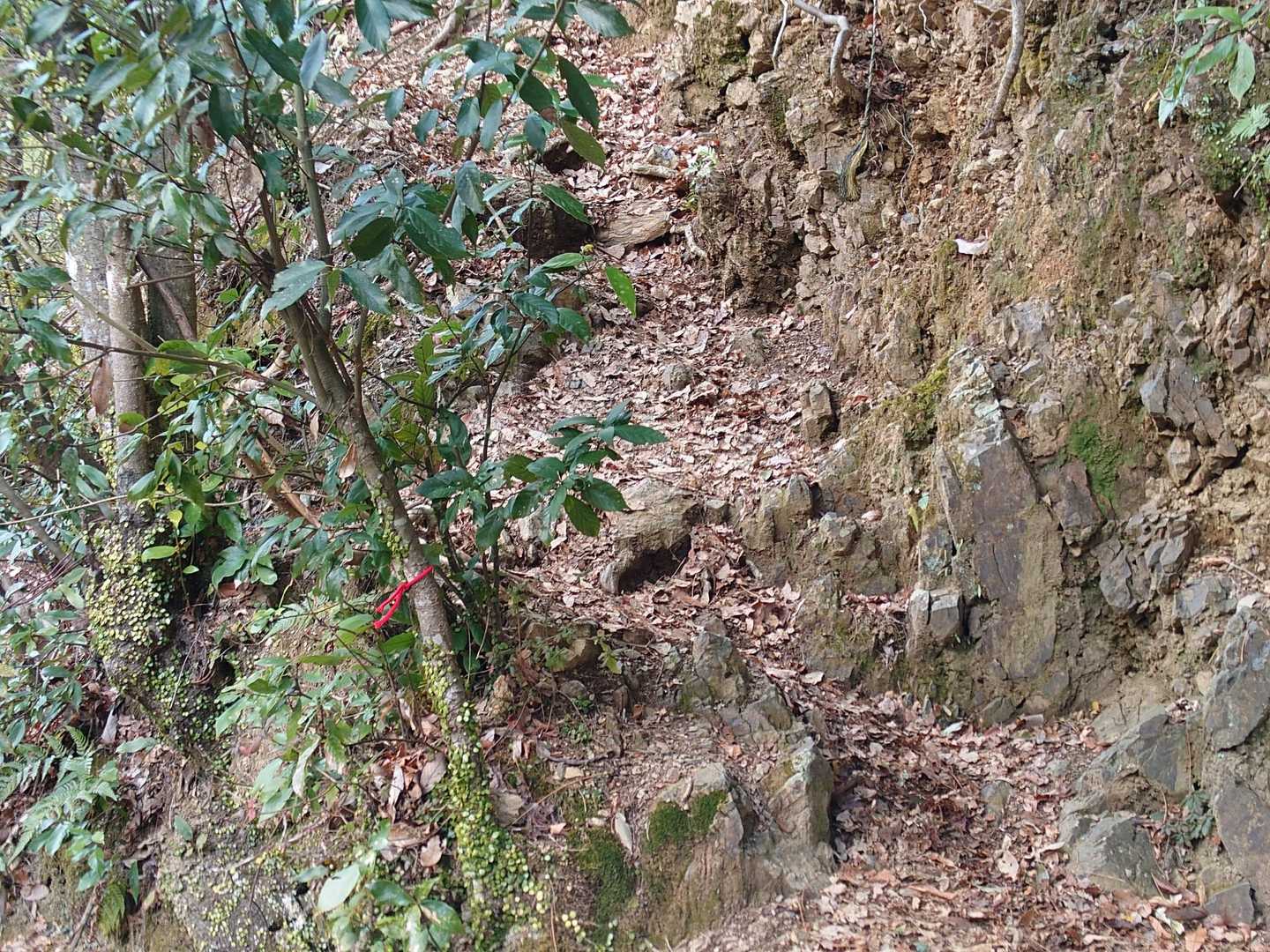 荒神峠-愛宕山-清滝バス停 縦走コースの写真