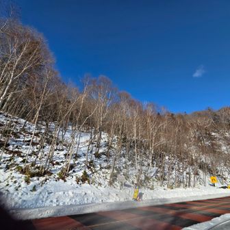 右の急カーブ矢印へ下りるつもりが、左の工事標識のとこへ降りました
お疲れ様でーす！(^^)