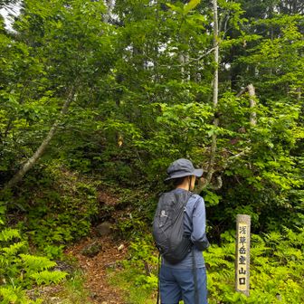 しばらく歩くと登山口