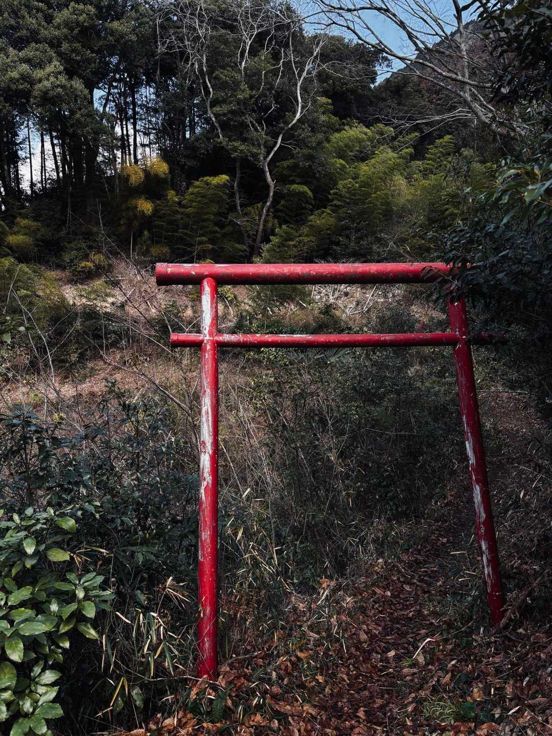 露出落として撮ると、怖い感じでるね。