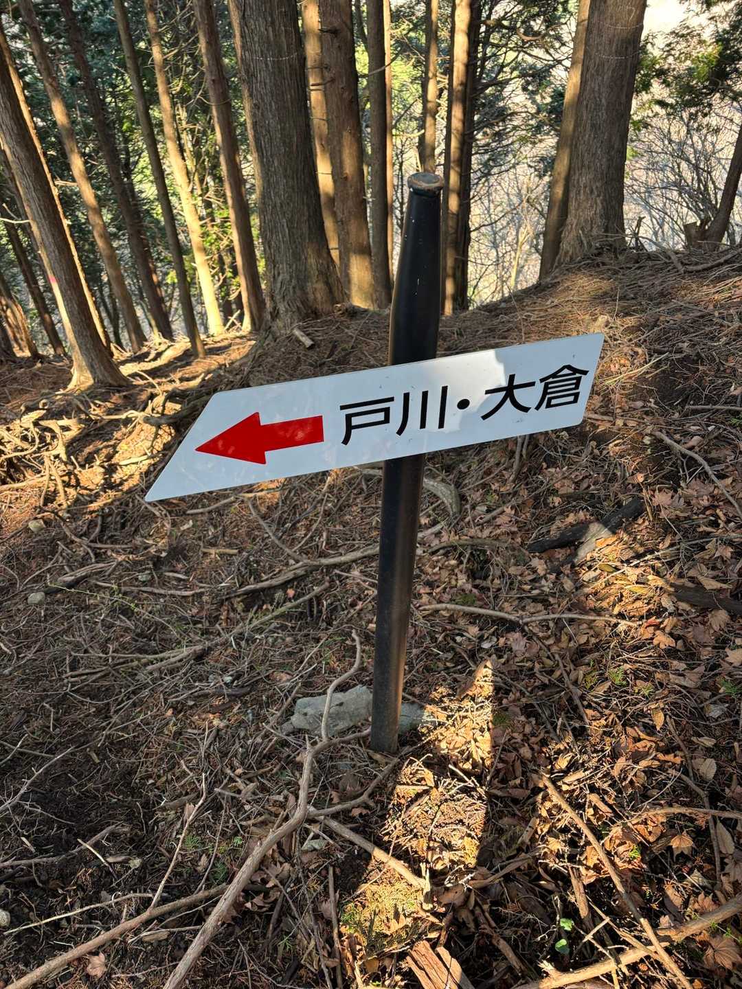 管理外の割にはこの道標、新しい😅