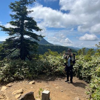 なんか看板食べてるみたい⤵️
次はもうちょい下げるね