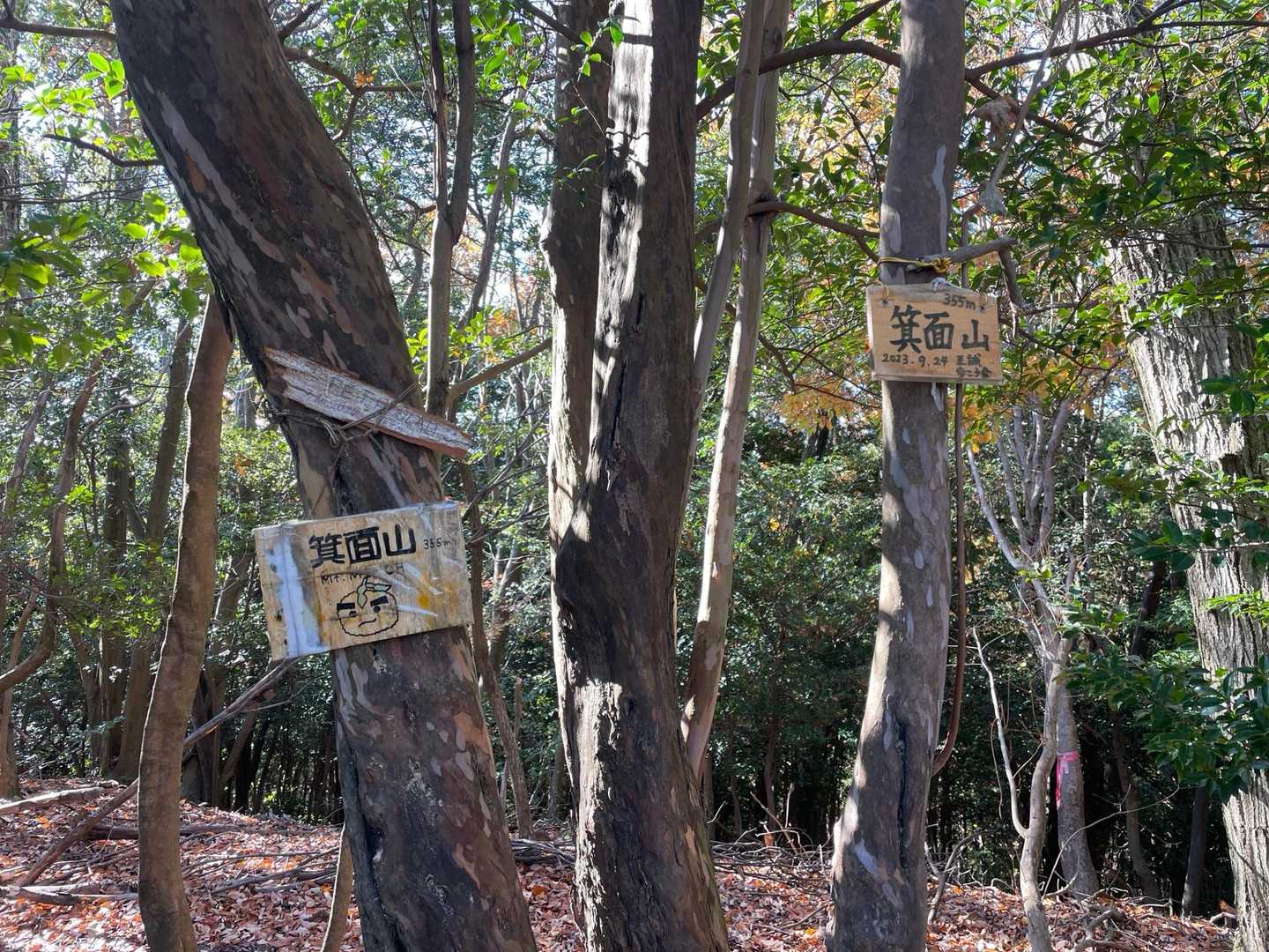箕面山山頂⛰️355m