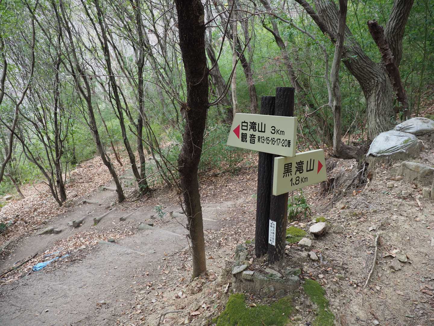 黒滝山登山道に合流しました。ここまでくれば登山口まであと少しです。
