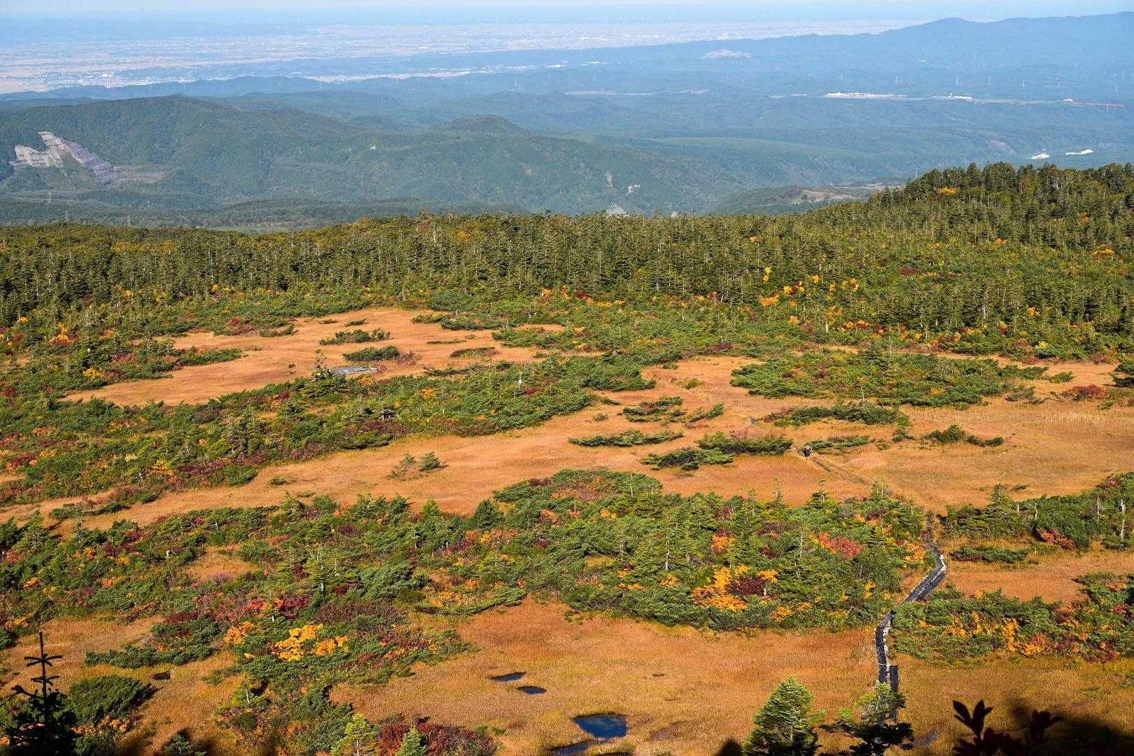 毛無岱湿原経由八甲田登山道入口-八甲田山 往復コースの写真