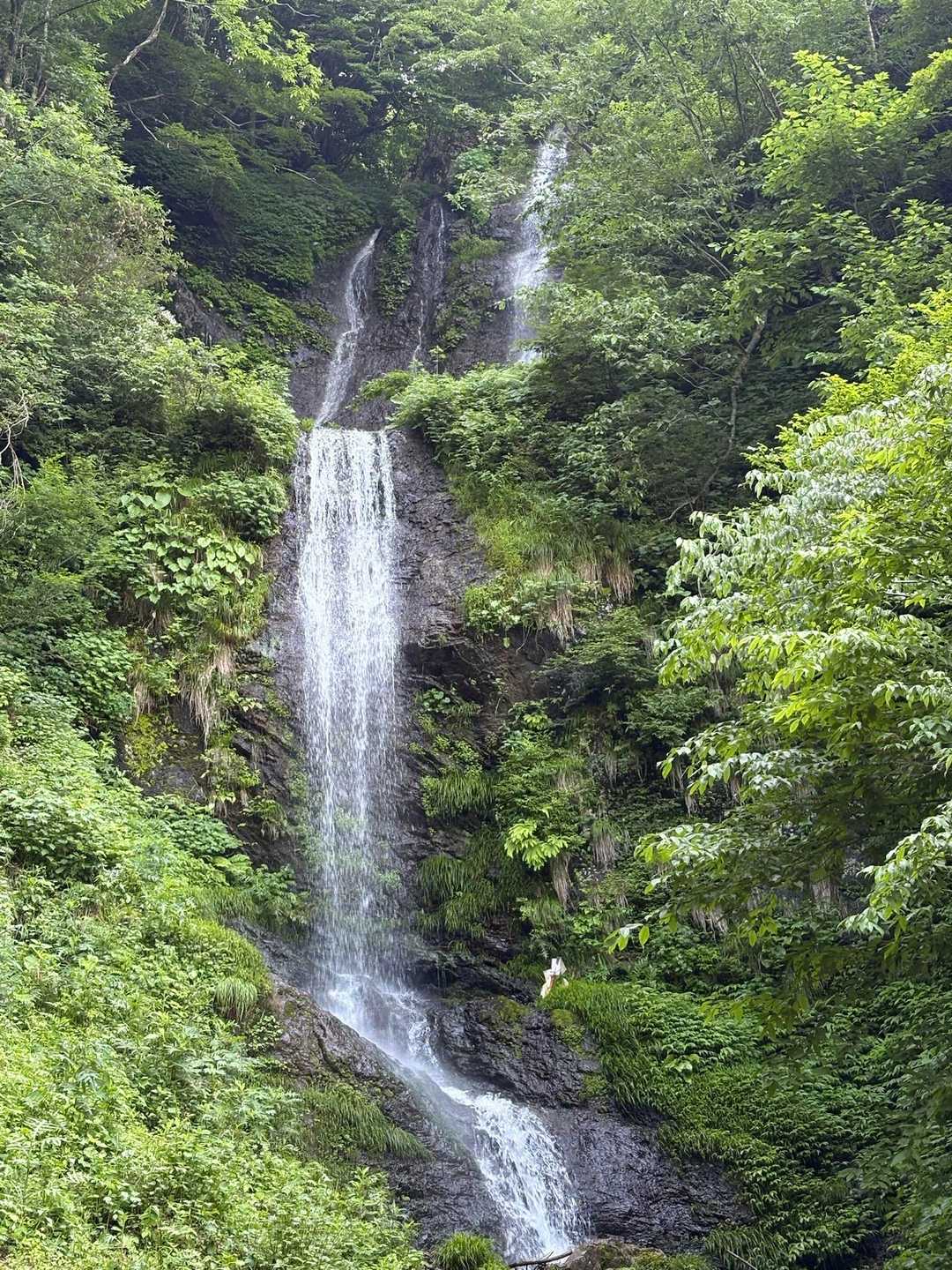 白谷登山口-横山岳-鳥越峠-エコチ谷登山口 周回コースの写真
