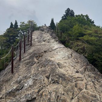 戻ります