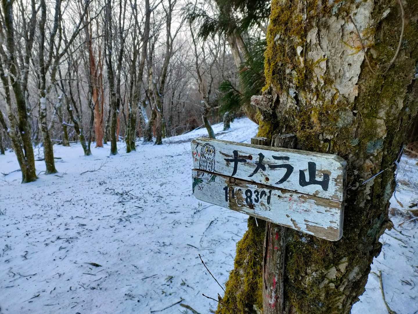 夏に来たナメラ山⛰
ここからの下山はなかなか険しかったな〜