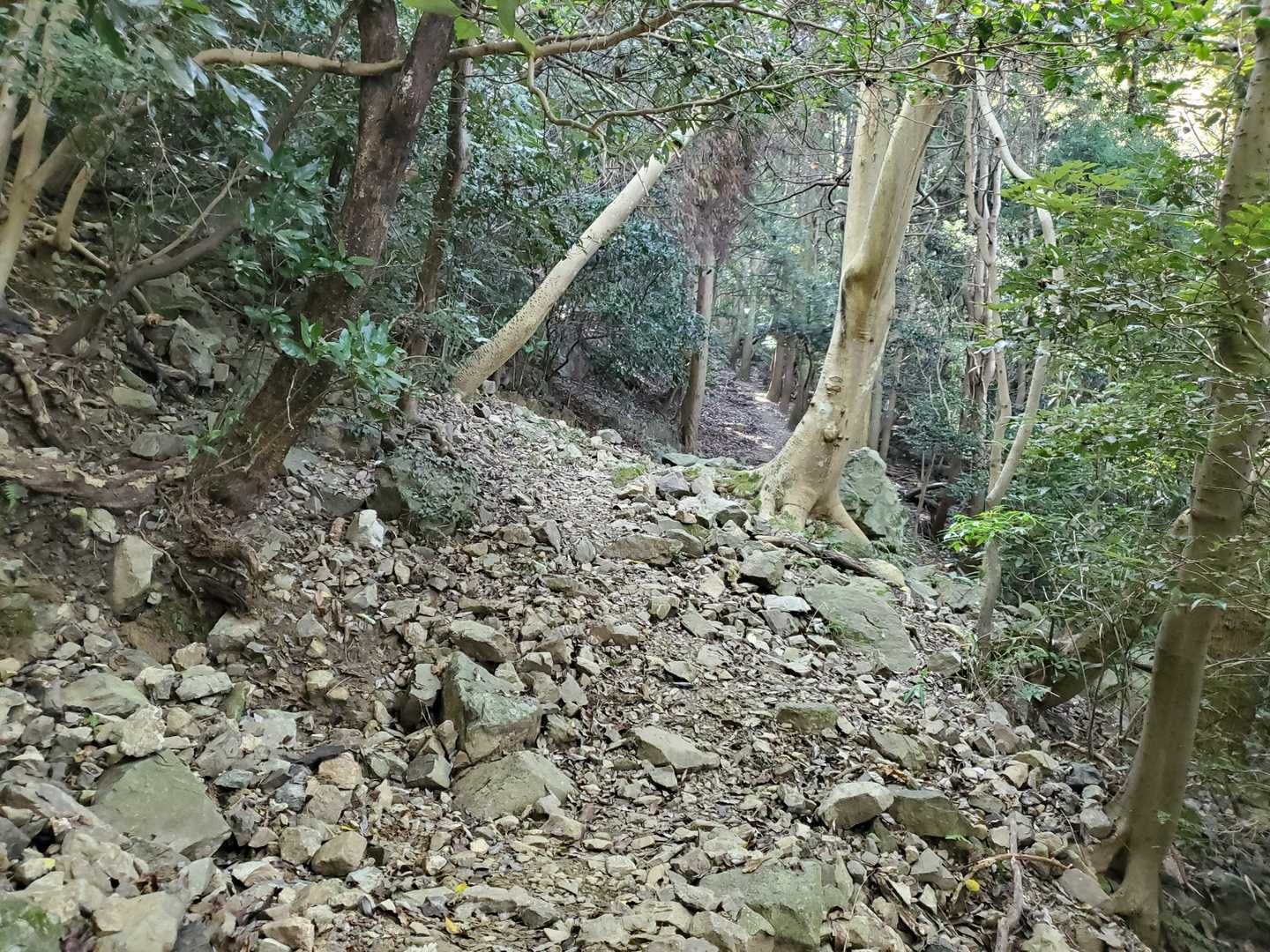 台風で？前回より荒れぎみ