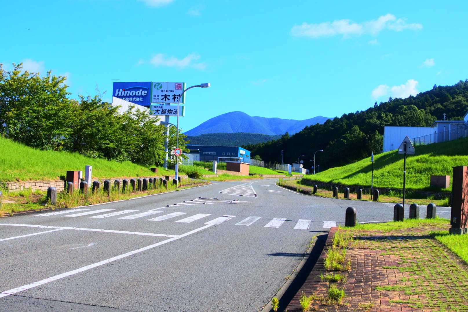 琴平岳 往復コースの写真