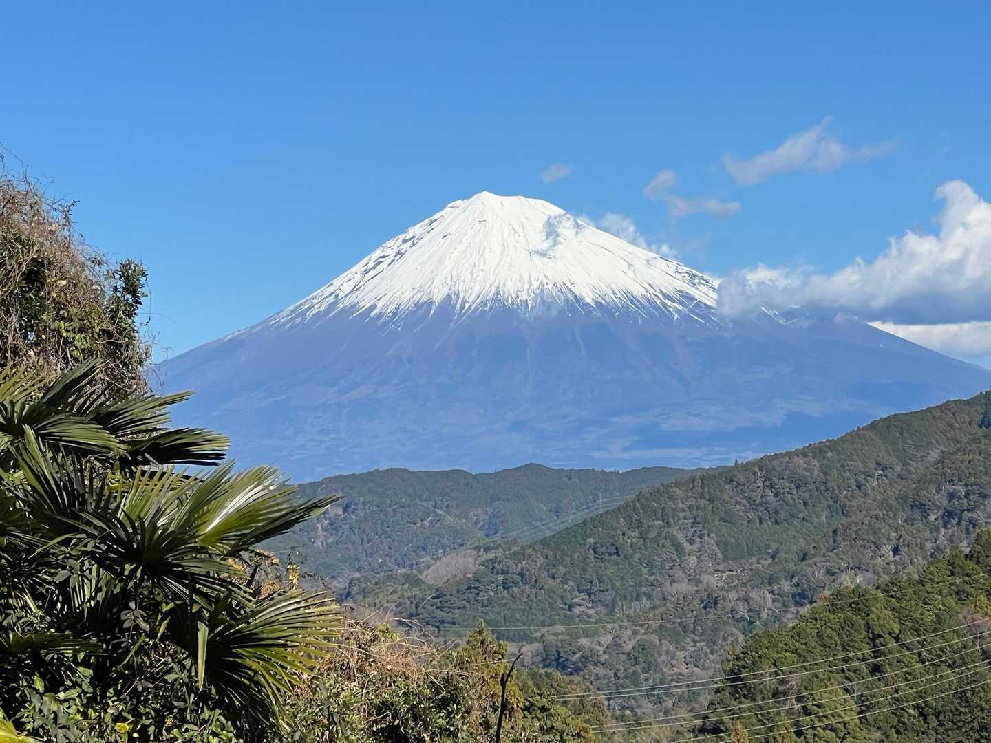 下山時も所々で富士山を拝みながら