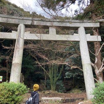 ダサコーデもレインをチェンジしたら、いい感じに。

宝満の神さま、今年も安全登山をありがとうございました♪