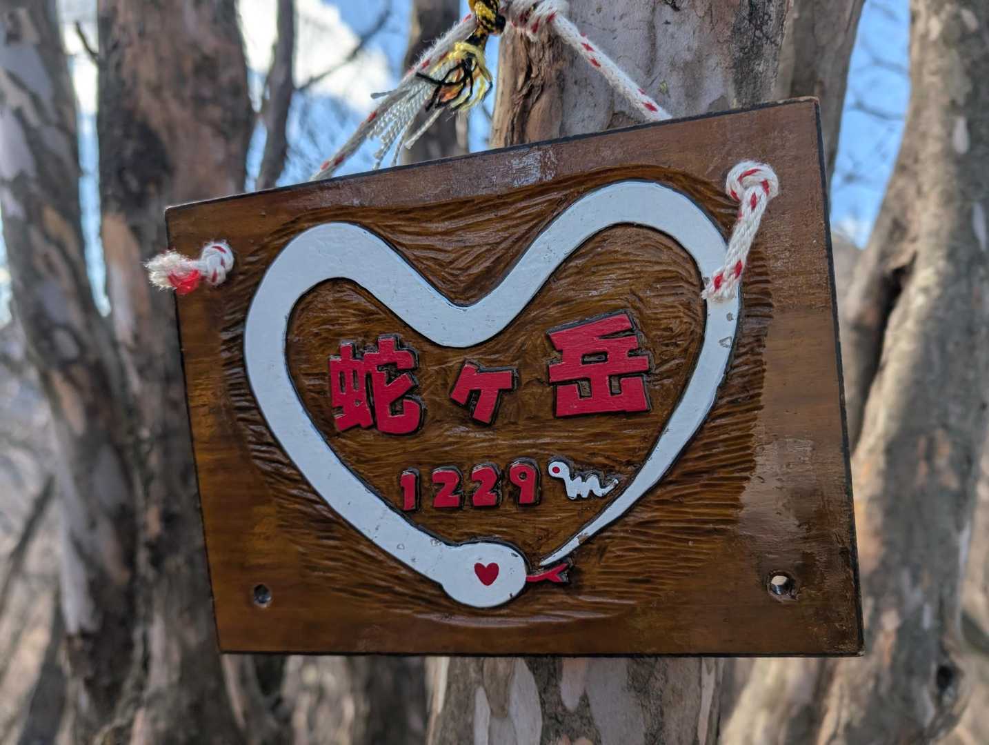 気をつけないと見落とします