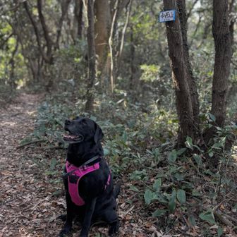 たくさん歩いたけど、まだニコニコのチョコちゃん❤️