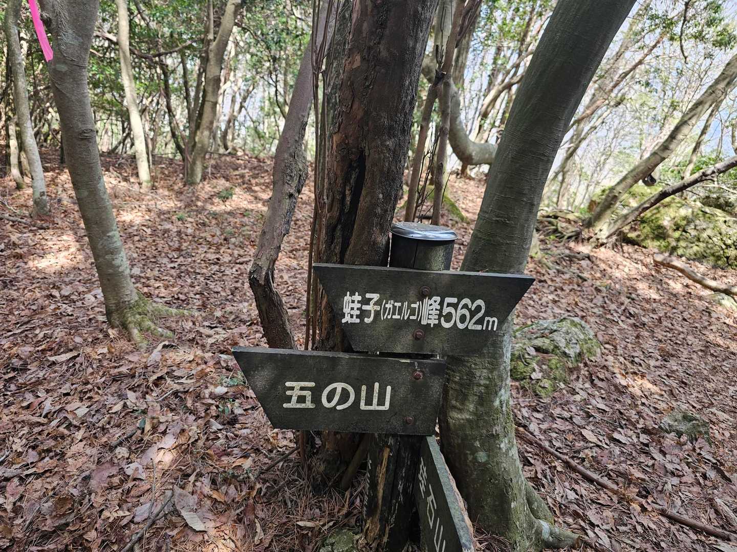 7座
ガエルゴ
絶対読めない