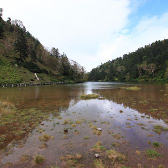 弥陀ヶ池
五色湖からここまで結構きつかった。
草すべりアゲインかと思った。