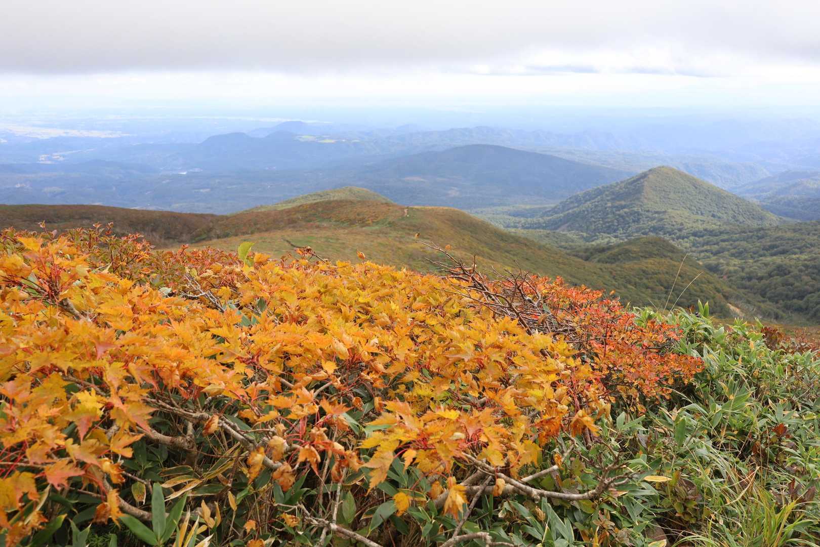 紅葉は山頂から徐々に麓に下りていくのでしょう