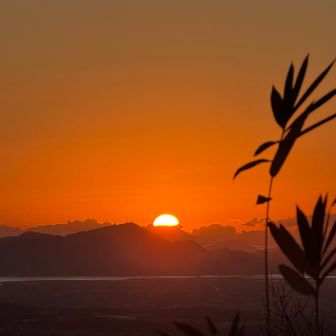 きれい✨
元気に過ごせますように🙏
パチパチ👏