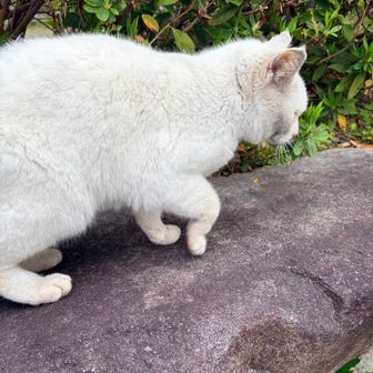 触れそうで触れなかった