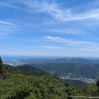 今日はよく見えます